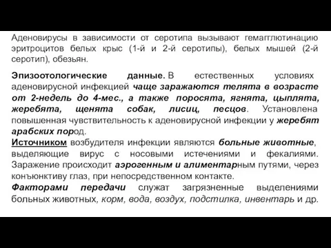 Аденовирусы в зависимости от серотипа вызывают гемагглютинацию эритроцитов белых крыс (1-й