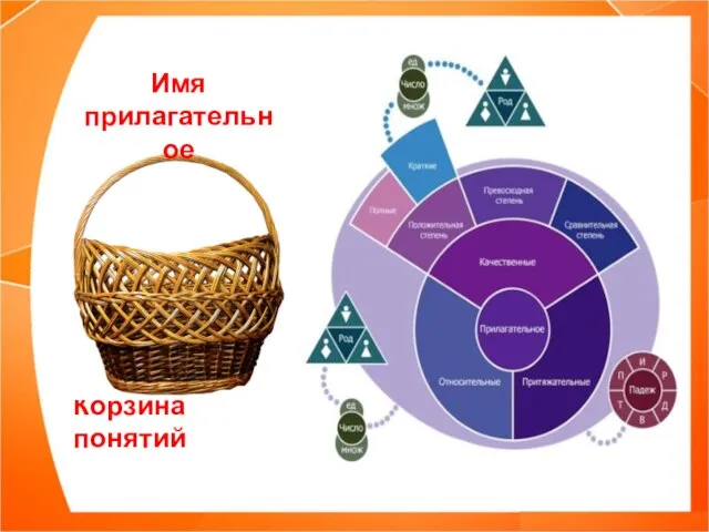 Корзина понятий Имя прилагательное