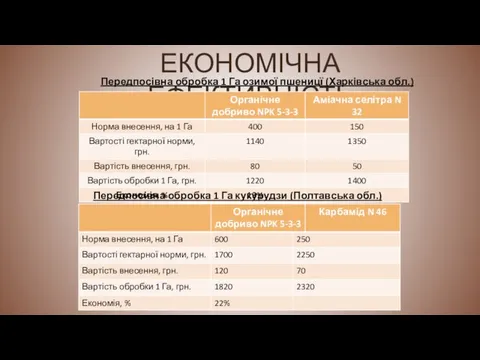 ЕКОНОМІЧНА ЕФЕКТИВНІСТЬ Передпосівна обробка 1 Га кукурудзи (Полтавська обл.) Передпосівна обробка