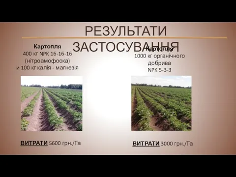 РЕЗУЛЬТАТИ ЗАСТОСУВАННЯ Картопля 400 кг NPK 16-16-16 (нітроамофоска) и 100 кг