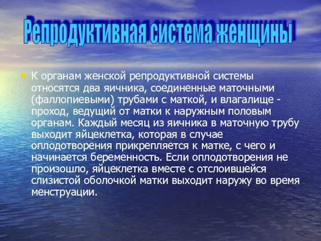 Репродуктивная система женщины К органам женской репродуктивной системы относятся два яичника,