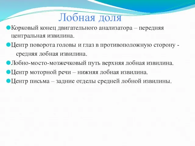 Лобная доля Корковый конец двигательного анализатора – передняя центральная извилина. Центр