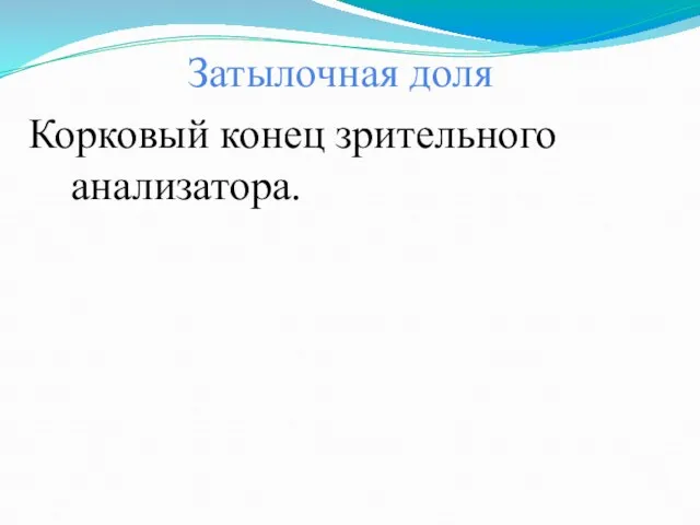 Затылочная доля Корковый конец зрительного анализатора.