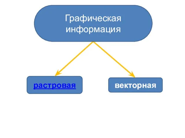 векторная растровая Графическая информация