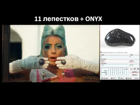 11 лепестков + ONYX