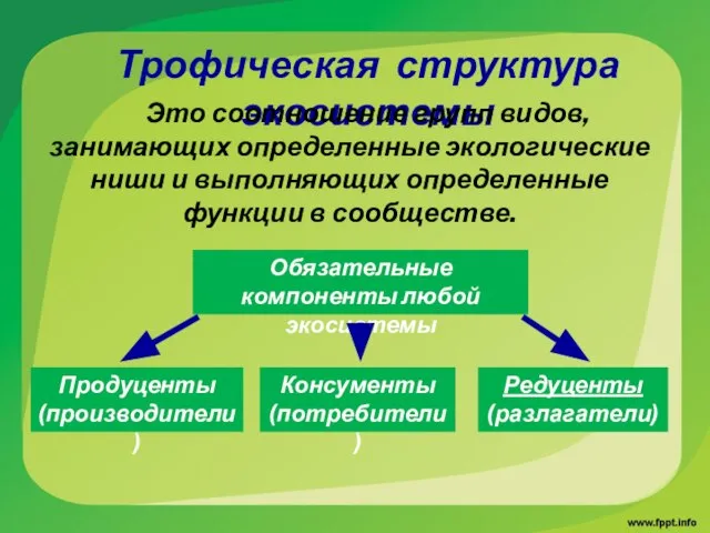 Трофическая структура экосистемы Это соотношение групп видов, занимающих определенные экологические ниши