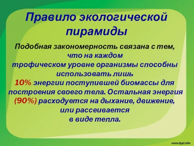 Правило экологической пирамиды Подобная закономерность связана с тем, что на каждом