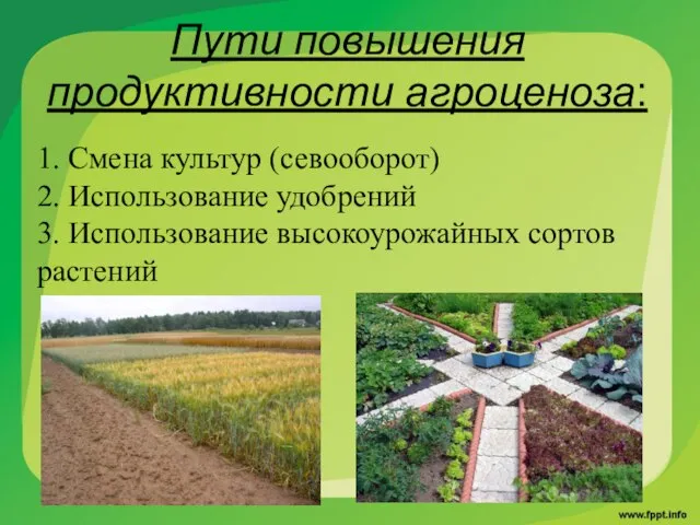 Пути повышения продуктивности агроценоза: 1. Смена культур (севооборот) 2. Использование удобрений 3. Использование высокоурожайных сортов растений