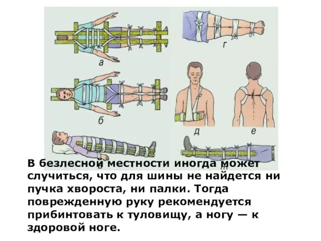 В безлесной местности иногда может случиться, что для шины не найдется