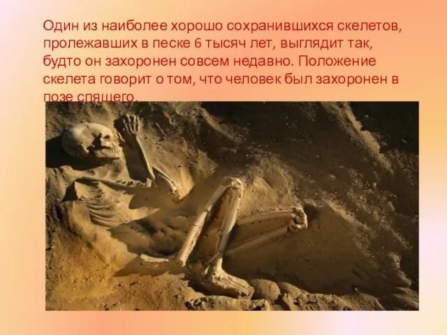 Один из наиболее хорошо сохранившихся скелетов, пролежавших в песке 6 тысяч