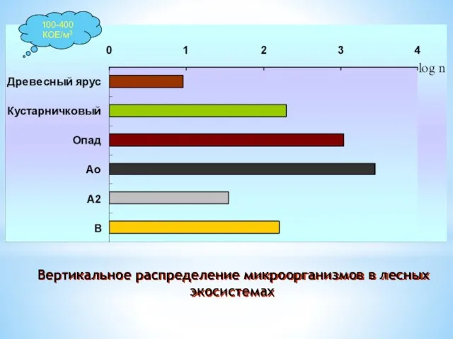 Вертикальное распределение микроорганизмов в лесных экосистемах 100-400 КОЕ/м3