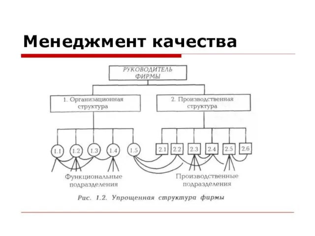 Менеджмент качества