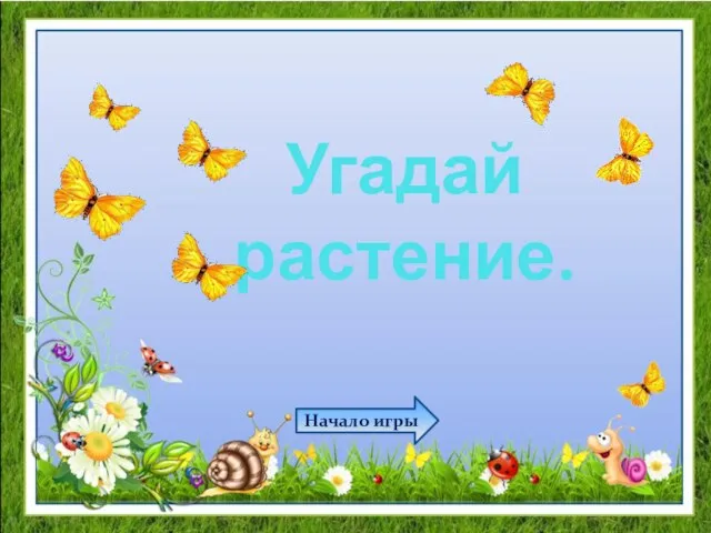 Угадай растение. Начало игры