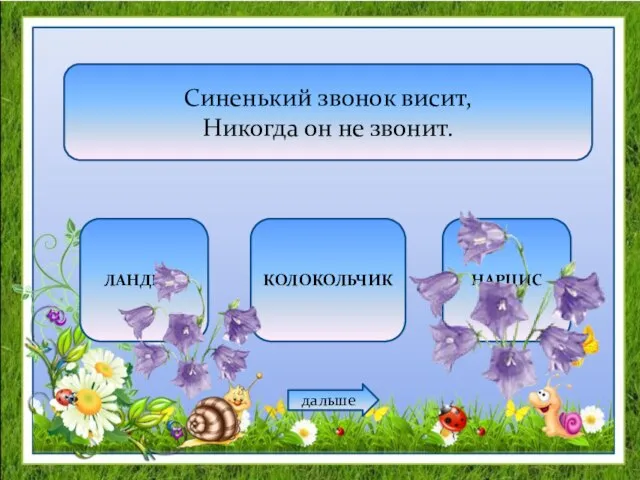 Синенький звонок висит, Никогда он не звонит. ЛАНДЫШ КОЛОКОЛЬЧИК НАРЦИС дальше