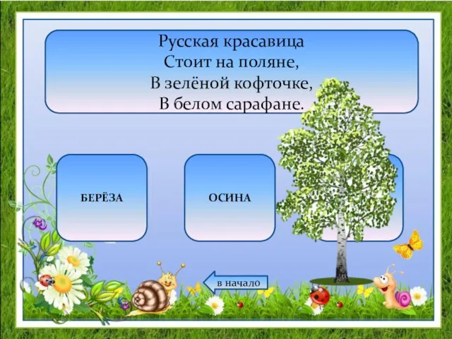 Русская красавица Стоит на поляне, В зелёной кофточке, В белом сарафане. БЕРЁЗА ОСИНА РЯБИНА в начало