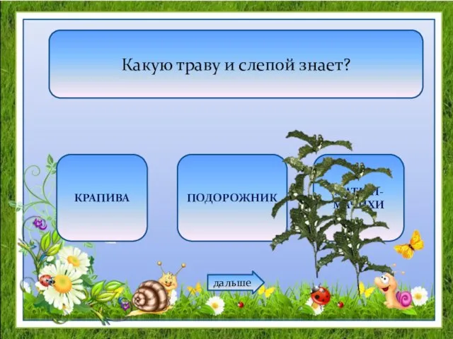 Какую траву и слепой знает? КРАПИВА ПОДОРОЖНИК МАТЬ-И-МАЧИХИ дальше