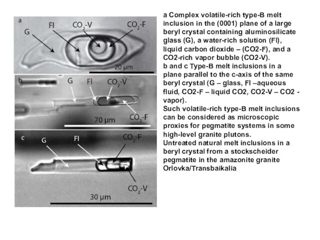 a Complex volatile-rich type-B melt inclusion in the (0001) plane of