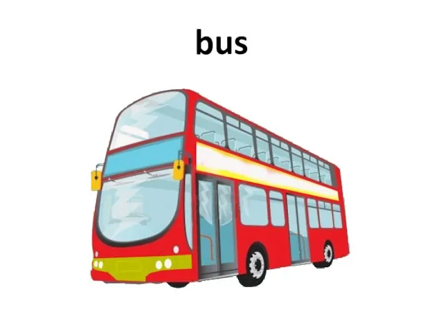 bus