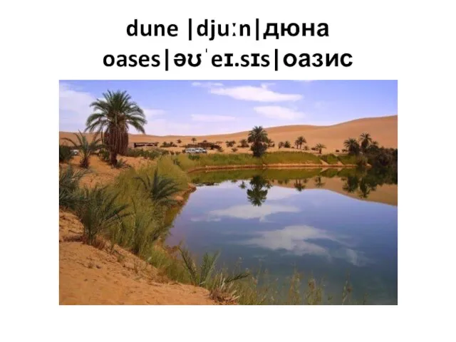 dune |djuːn|дюна oases|əʊˈeɪ.sɪs|оазис
