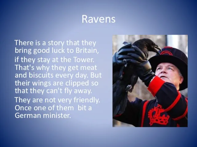 Ravens There is a story that they bring good luck to