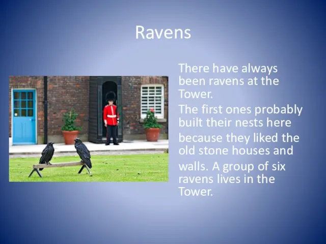 Ravens There have always been ravens at the Tower. The first