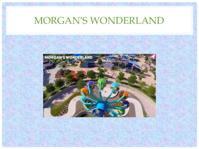 MORGAN’S WONDERLAND