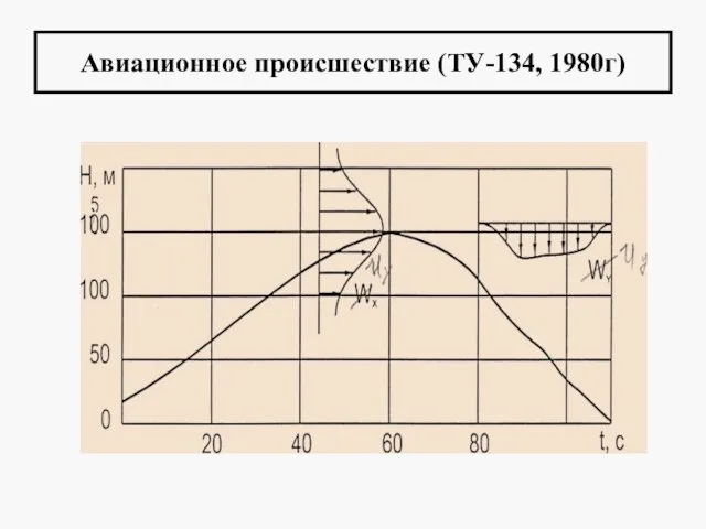 Авиационное происшествие (ТУ-134, 1980г)