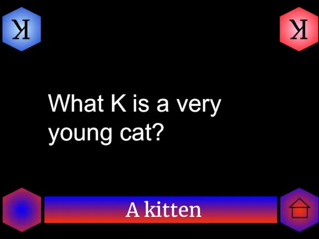 A kitten K K What K is a very young cat?