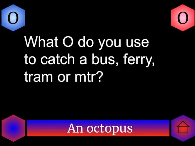 An octopus O O What O do you use to catch