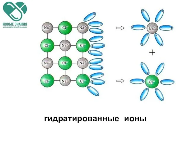 гидратированные ионы