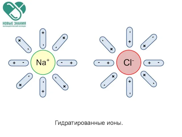 Na+ Cl- - + - + + - + - +