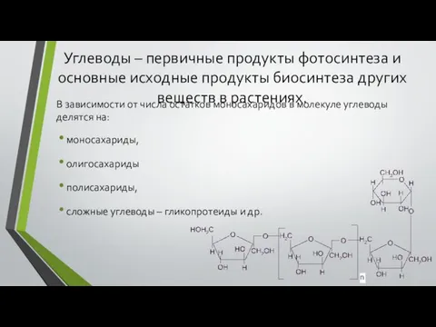 Углеводы – первичные продукты фотосинтеза и основные исходные продукты биосинтеза других