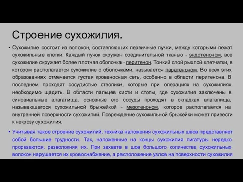 Строение сухожилия. Сухожилие состоит из волокон, составляющих первичные пучки, между которыми