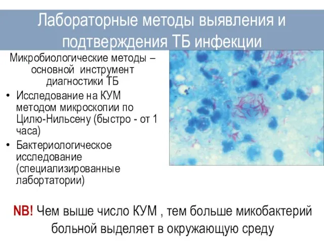Лабораторные методы выявления и подтверждения ТБ инфекции Микробиологические методы – основной