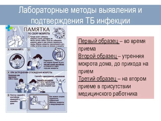 Лабораторные методы выявления и подтверждения ТБ инфекции Первый образец – во