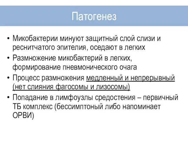 Микобактерии минуют защитный слой слизи и реснитчатого эпителия, оседают в легких