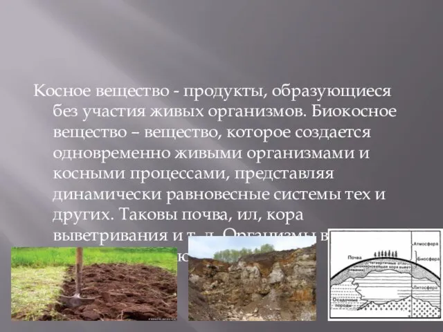 Косное вещество - продукты, образующиеся без участия живых организмов. Биокосное вещество