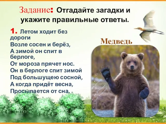 Задание: Отгадайте загадки и укажите правильные ответы. 1. Летом ходит без