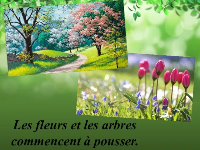 Les fleurs et les arbres commencent à pousser.