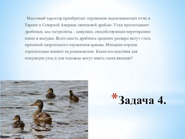 Задача 4. Массовый характер приобретает отравление водоплавающих птиц в Европе и