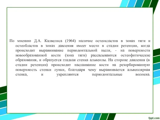 По мнению Д.А. Калвелиса (1964) наличие остеокластов в зонах тяги и