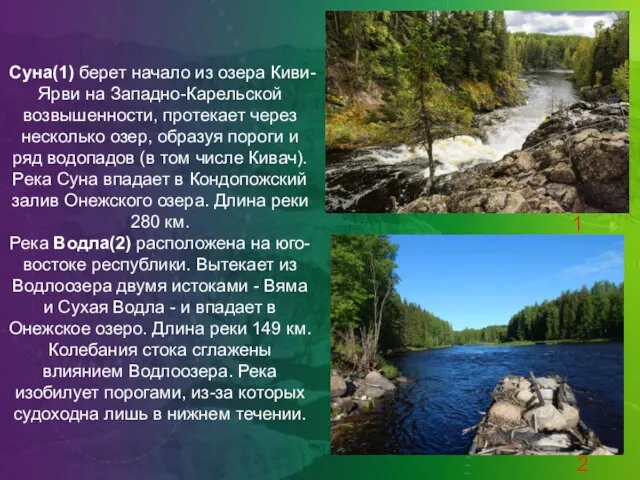 Суна(1) берет начало из озера Киви-Ярви на Западно-Карельской возвышенности, протекает через