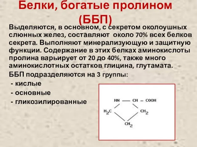 Белки, богатые пролином (ББП) Выделяются, в основном, с секретом околоушных слюнных