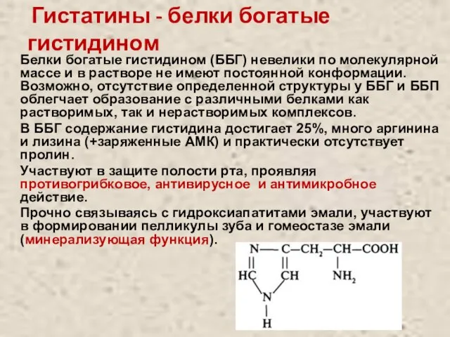 Гистатины - белки богатые гистидином Белки богатые гистидином (ББГ) невелики по