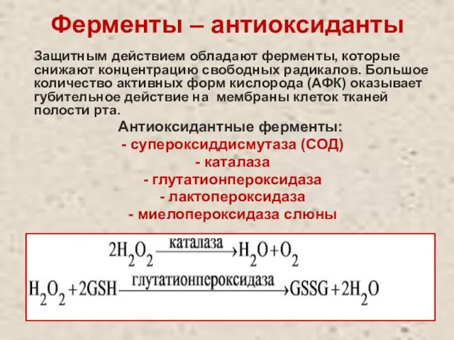 Ферменты – антиоксиданты Защитным действием обладают ферменты, которые снижают концентрацию свободных