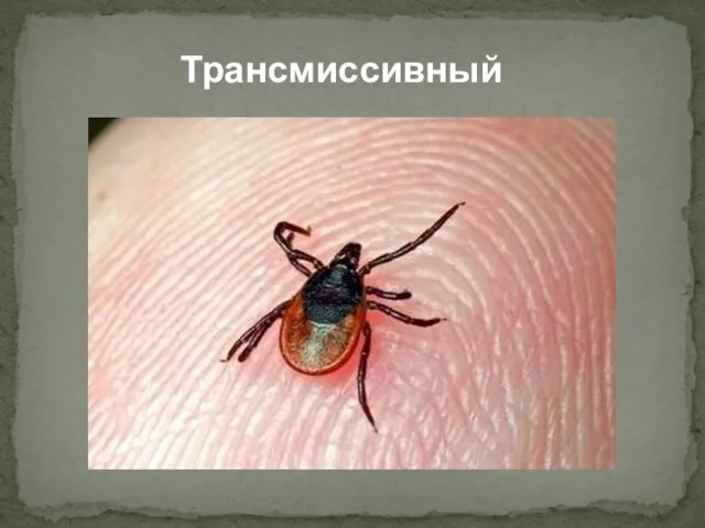 Трансмиссивный