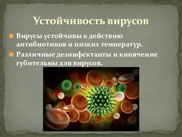 Вирусы устойчивы к действию антибиотиков и низких температур. Различные дезинфектанты и