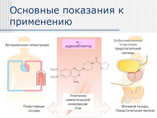 Основные показания к применению Артериальная гипертензия Резистивные сосуды Угнетение симпатической иннервации