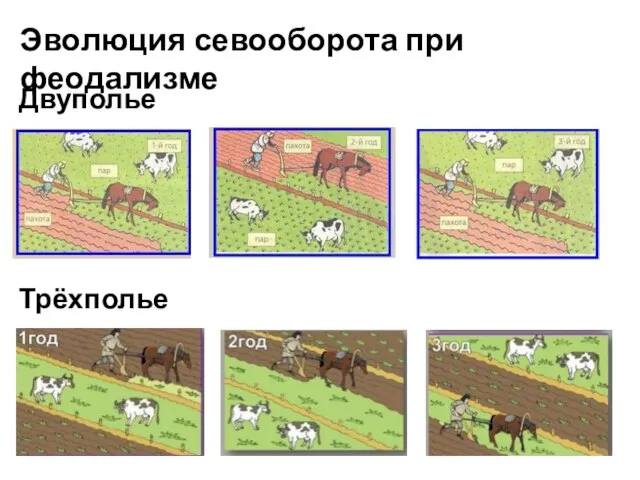 Двуполье Трёхполье Эволюция севооборота при феодализме