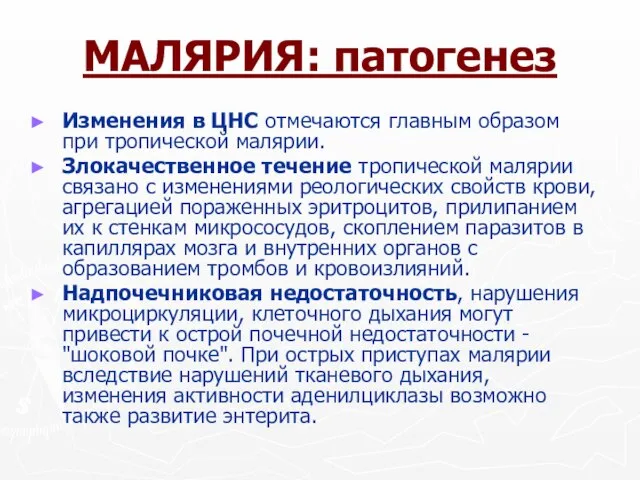 МАЛЯРИЯ: патогенез Изменения в ЦНС отмечаются главным образом при тропической малярии.